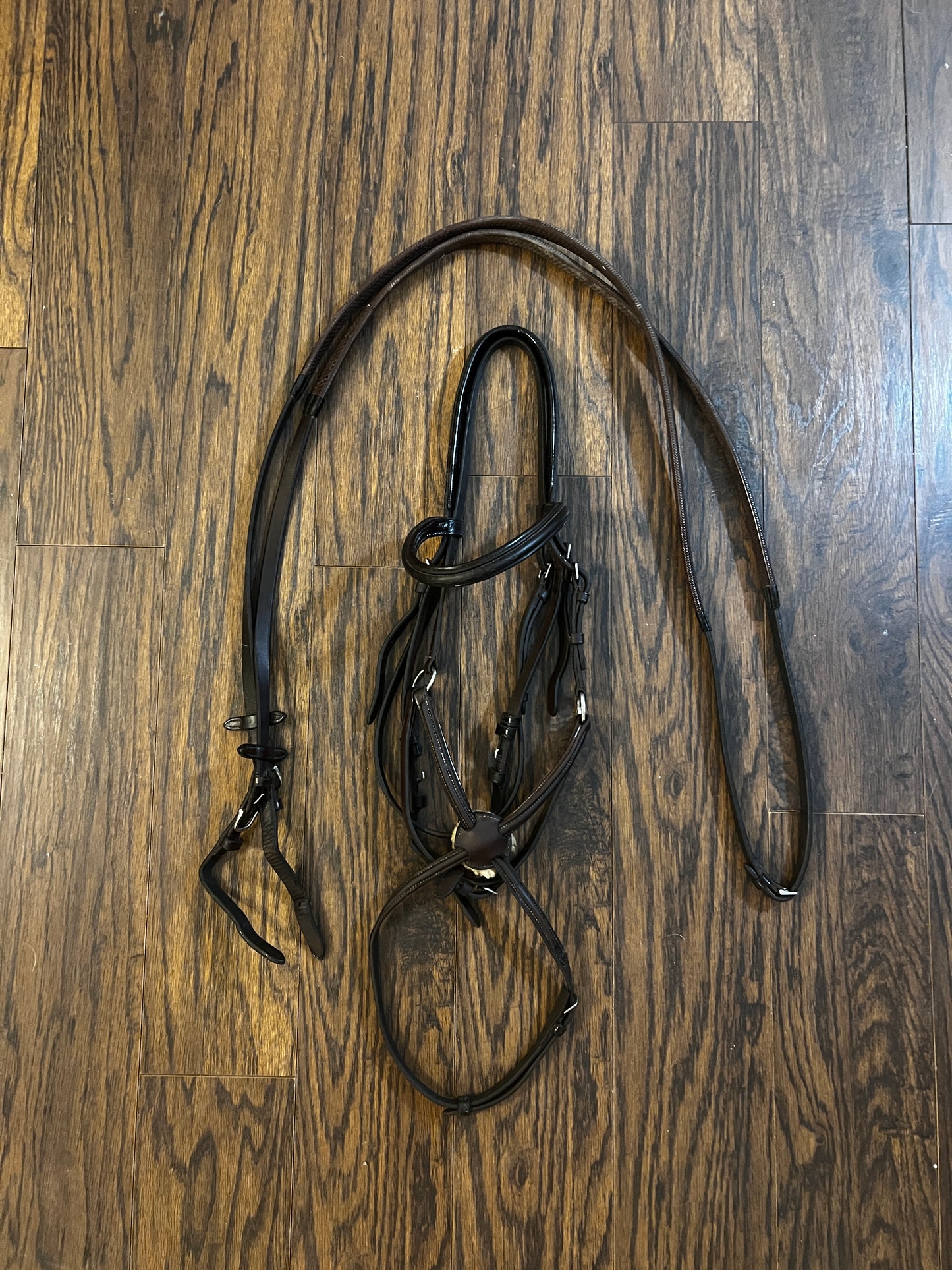 Vespucci Figure-8 Bridle