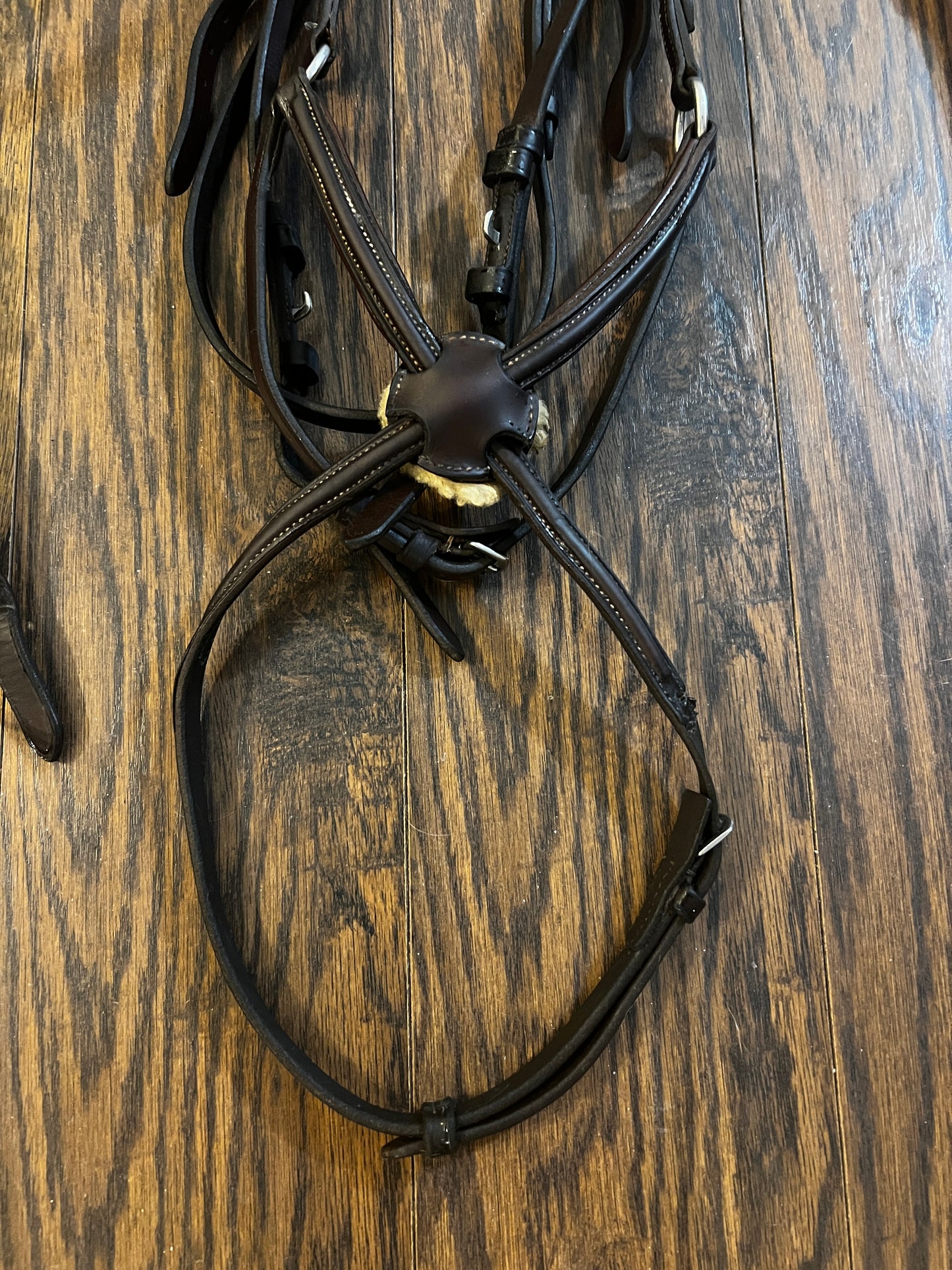 Vespucci Figure-8 Bridle