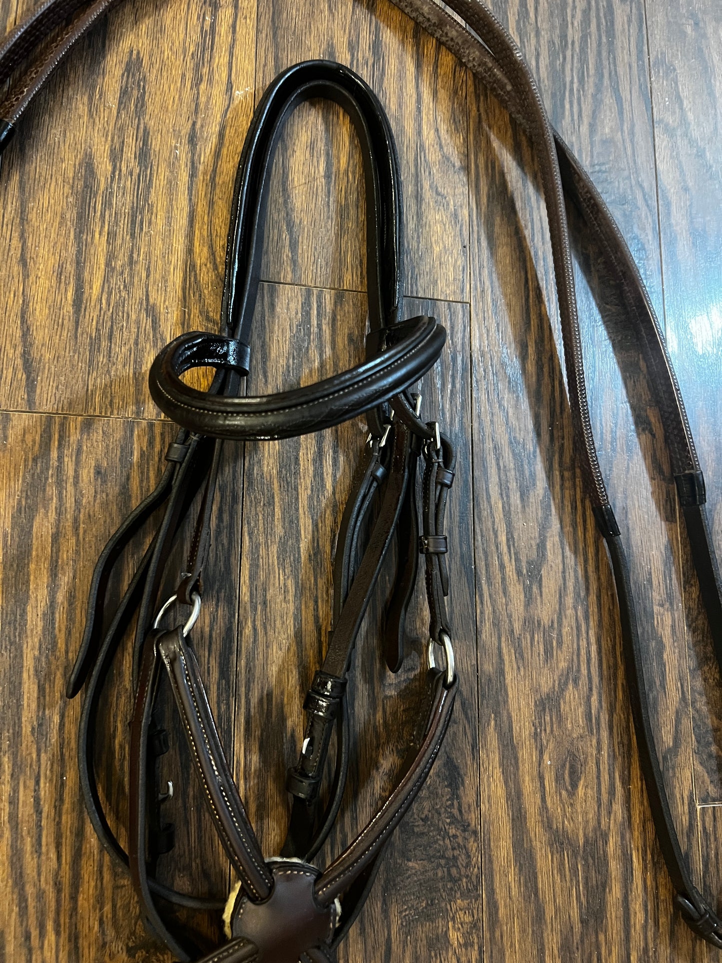 Vespucci Figure-8 Bridle