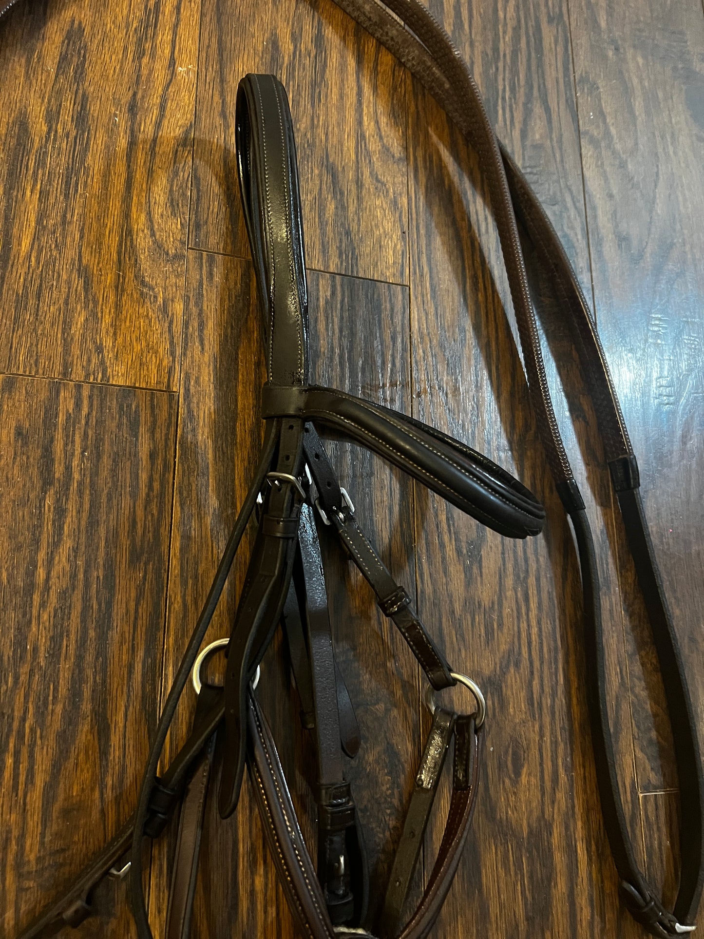 Vespucci Figure-8 Bridle