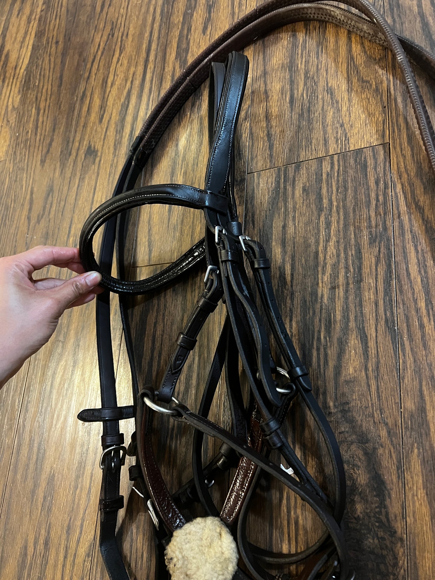Vespucci Figure-8 Bridle