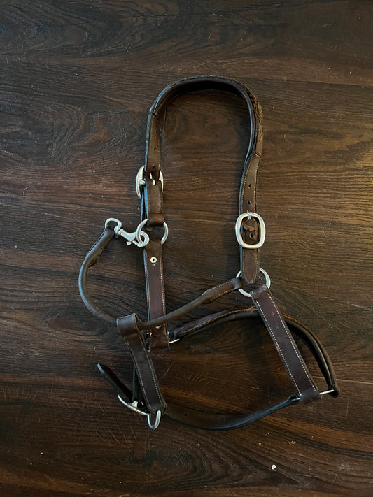 Antares Halter - Full/Horse Sized